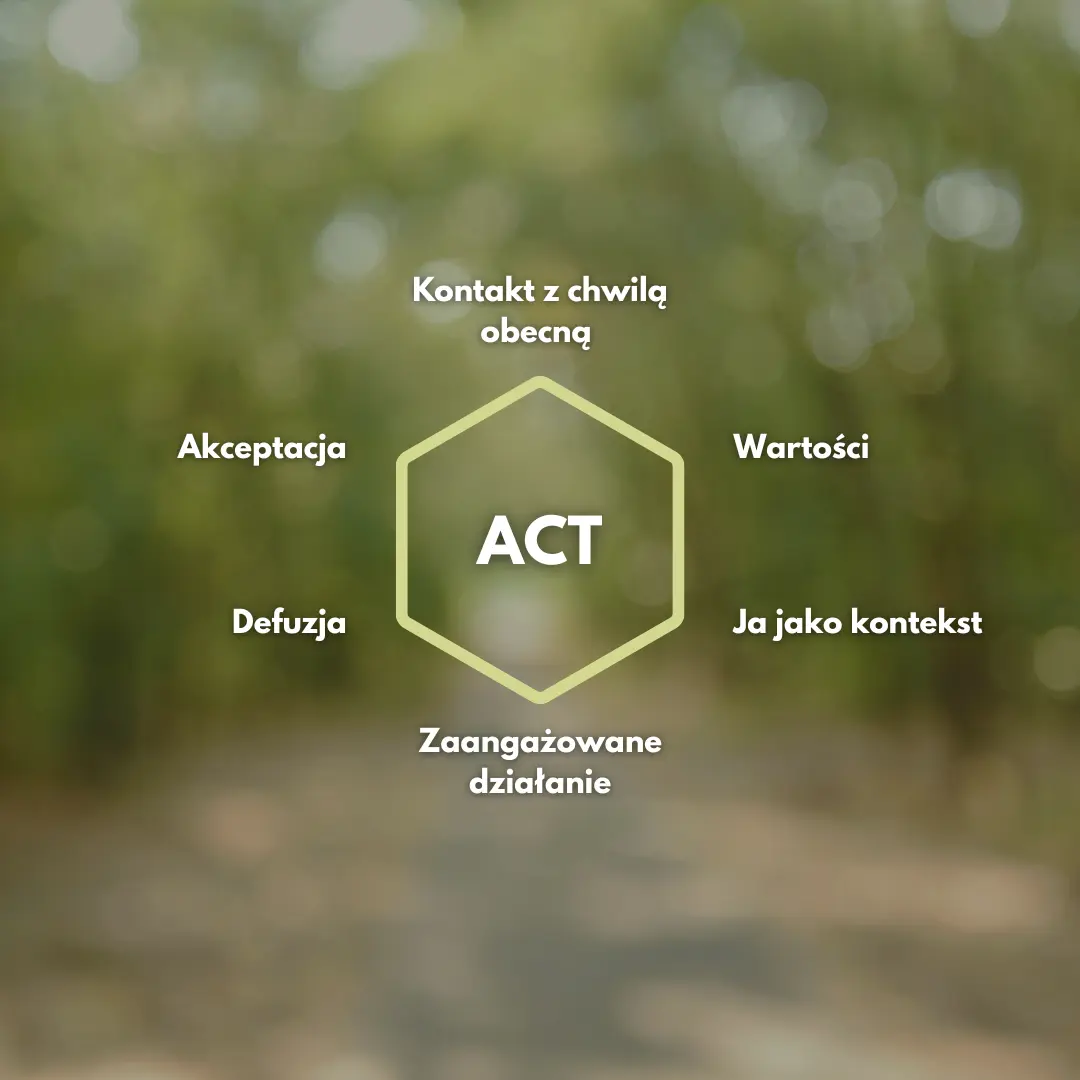 Sześć filarów terapii ACT – fundamenty życia w zgodzie ze sobą
